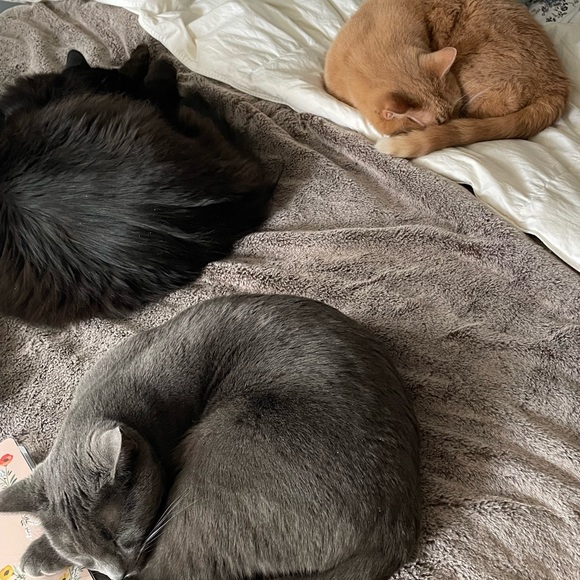 Meet your Posher, Holly 💗 - Picture 10 of 10